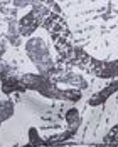 ابر و بادی طوسی روشن